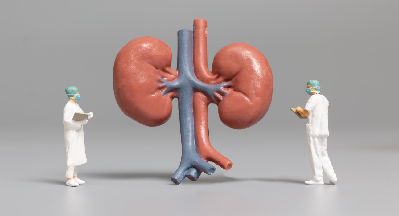 Zakaj aktivno telo pomeni tudi zdrave ledvice