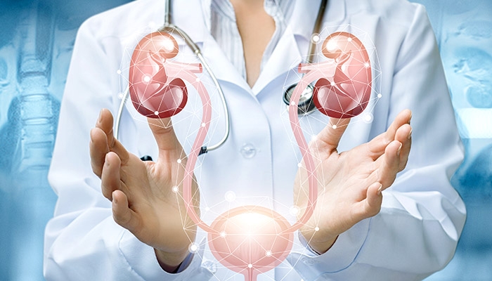 Kako lahko narava nežno pomaga vašim ledvicam